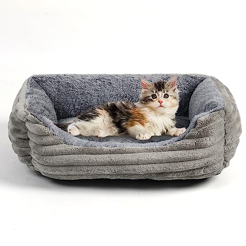 色：ライトグレー サイズ：XS *快適な眠りを提供：ペットマット老犬介護対策に最適な四角型のペットベッド。猫ベッドとしても使用可能で、床ずれや寒さ対策に効果的。*滑り止め付き：ペットソファーの下部に滑り止めが付いているため、床面にしっかりと固定され、愛犬・愛猫の安全を確保。*耐噛み素材：動物用品として耐久性に優れた素材を使用し、犬や猫が噛んでもへこたれません。*洗濯可能：丸洗いが可能なので、毎日清潔に保てます。また、汚れを気にせず使えるので、お子様や多頭飼いでも便利。*シンプル＆スタイリッシュ：スクエア型でシンプルなデザインなので、お部屋のインテリアにマッチし、高齢犬・子犬から中型犬・小型犬まで幅広くご利用いただけます。