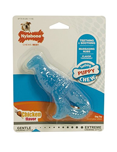 Nylabone ナイラボーン パピー デンタル ダイナソー 子犬用 恐竜型 噛むおもちゃ チキン味 