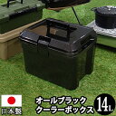 【クーポン配布7日15時まで】クーラーボックス 容量14リットル 14L 小型 黒 ブラック【100-A27】モノトーン クーラーBOX バーベキュー BBQ 釣り 海水浴 行楽 オシャレ おしゃれ かっこいい カッコイイ 小型 収納ケース【送料無料】