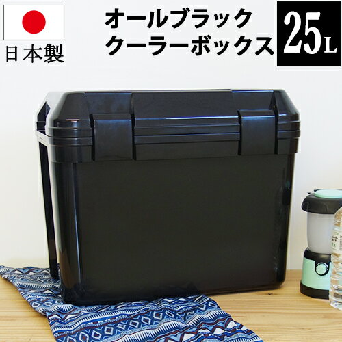 140-A27クーラーボックス 25L黒 ブラック モノトーン クーラーBOX クーラーバッグ バーベキュー BBQ 海釣り 磯釣り 海水浴 バーベキュー 行楽 オシャレ おしゃれ かっこいい カッコイイ　【送料無料】