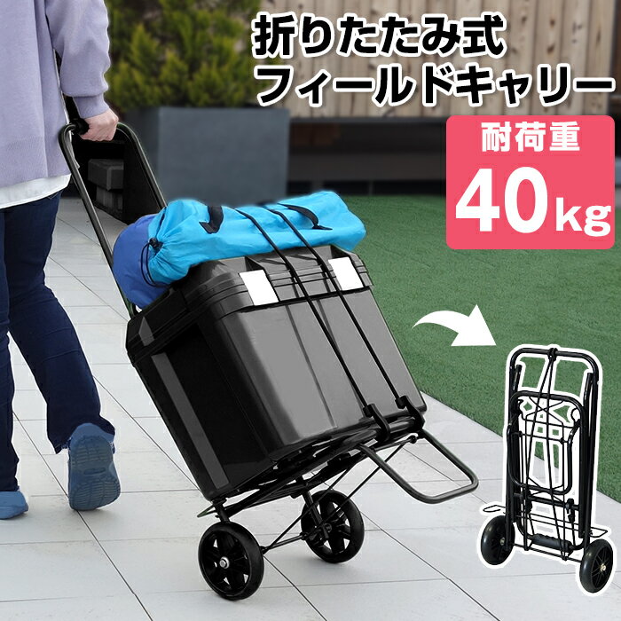 折りたたみ キャリーカート フィールドキャリー 耐荷重40kg FCR-40L【140-A72】JEJアステージ 大型 台車 ハンドキャリー 持ち運び ブラック コンパクト おしゃれ キャリー キャンプ用品 フェス レジャー 海 海水浴 バーベキュー BBQ 便利 釣り ごみ 買い物 旅行【送料無料】