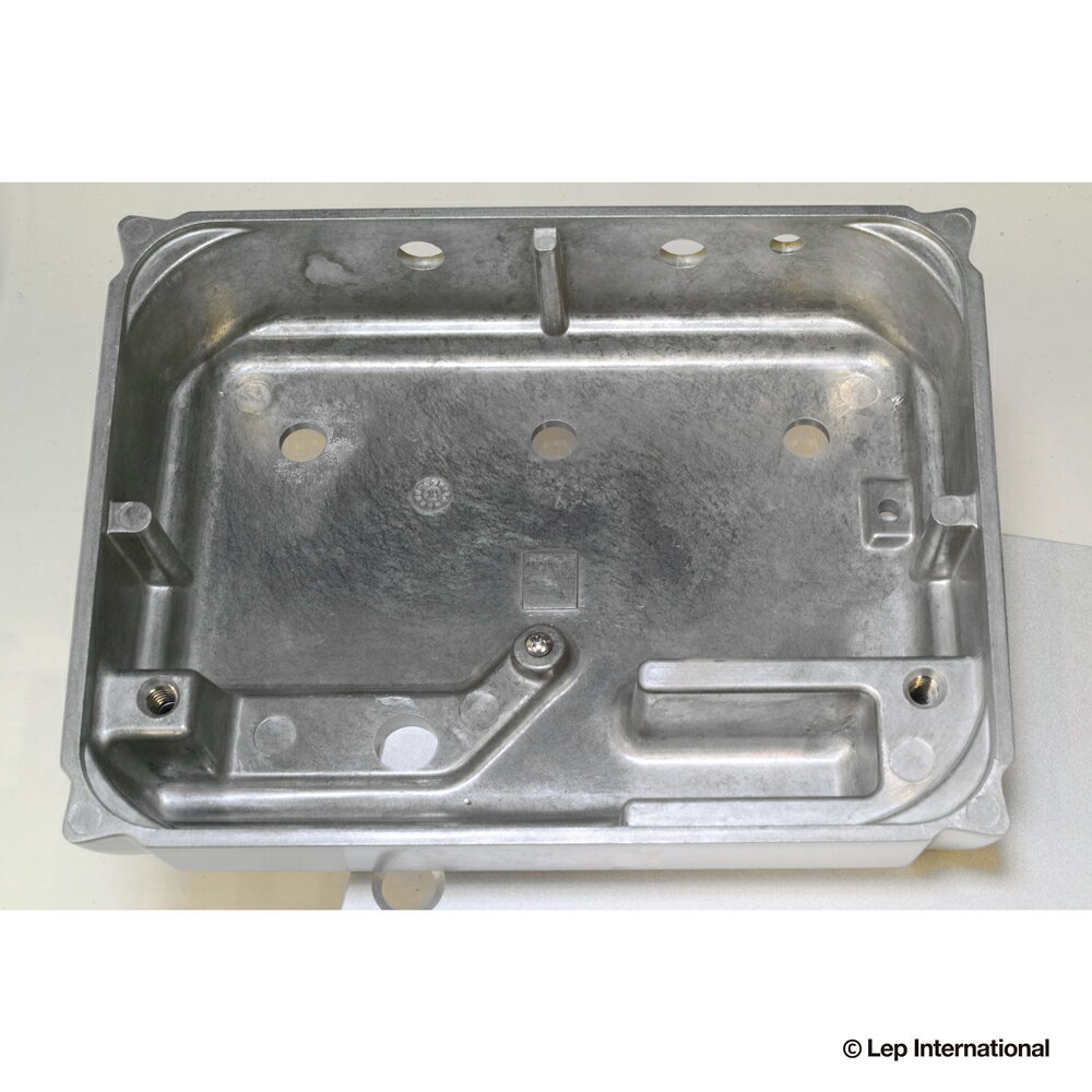 Ceriatone - Centura Effector Case Matte Silver ���դ��ʥ��ե��������ѥ�������