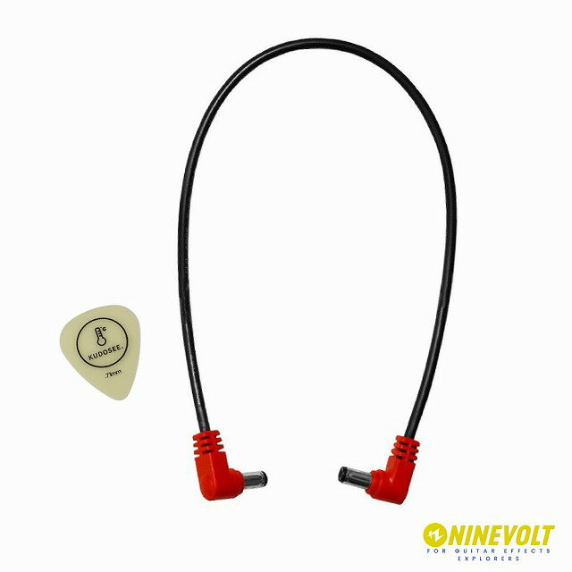 9DC Reverse Cable 30cm LL ߤ٤륪ꥸʥԥåդ/ Ѵ 2.1mm2.5mmѴ  ֥ ԥåڤ椦ѥåбǽ