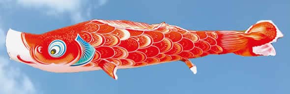 風舞い 薫風の舞い鯉 撥水加工 ポリエステルジャガード織 家紋・名入れ可能