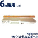 こいのぼり 徳永鯉 鯉のぼり 庭園用 ポール 6m鯉用 12号 Wパイル杭方式ポール 肉厚強力仕様 デラックスモデル 【2025年度新作】 200-534
