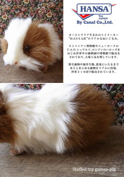 ネズミ ぬいぐるみ リアル HANSA《モルモット（天竺鼠）》【N-CN-M】【ねずみのぬいぐるみ】【小動物のぬいぐるみ】無料ラッピング 誕生日 クリスマス プレゼント