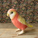 \平日9時までの注文で即日発送/【HANSA アキクサインコ14 ぬいぐるみ】鳥 秋草 あきくさ ぬいぐるみ リアル 本物 そっくり ペット
