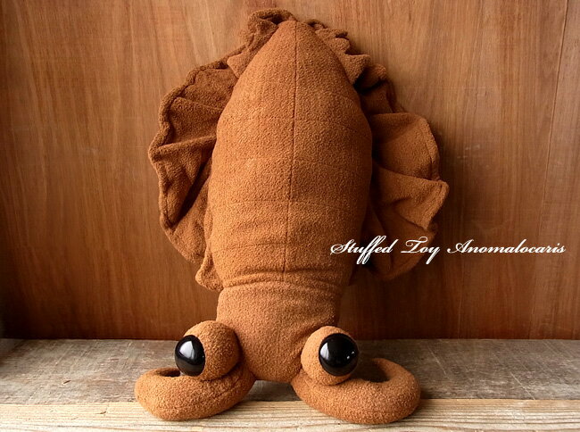 ＼平日9時までの注文で即日発送／【TST アノマロカリス（ブラウン） ぬいぐるみ】魚 さかな ぬいぐるみ リアル 本物 そっくり ペット