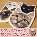 可愛い猫のマウスパッド 可愛い猫のマウスパッド