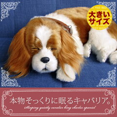 ぬいぐるみ 犬 リアルでお得にショッピング