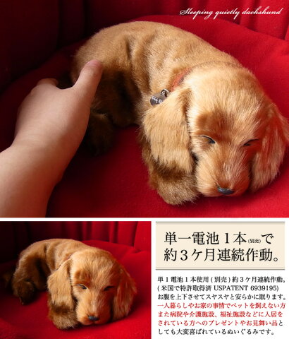 それにつけても おやつはぬいぐるみ 犬 リアル