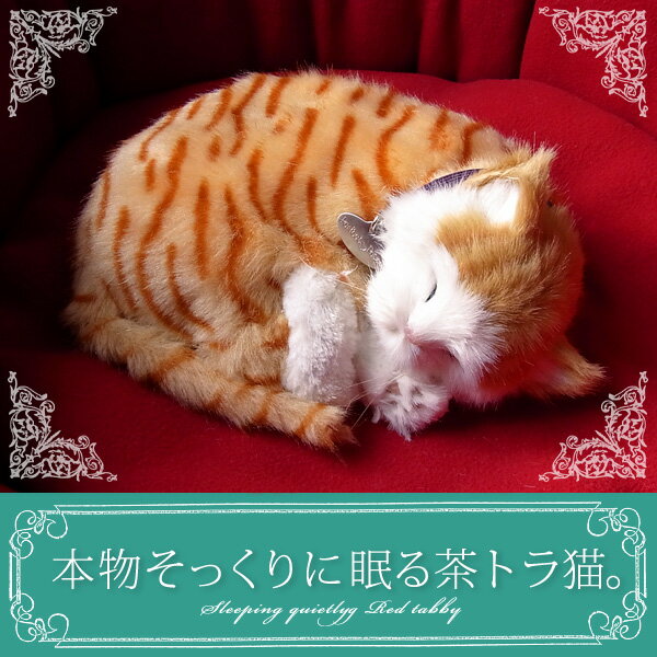 これって猫 ぬいぐるみ 動くの工場 これって猫 ぬいぐるみ 動くの工場