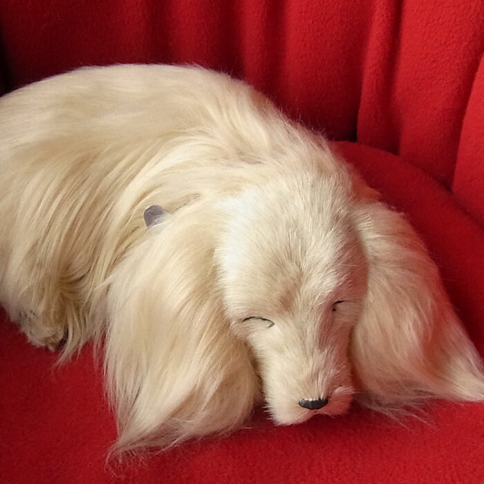 眠るように呼吸する パーフェクトペット (小サイズ) ダックスフンド ロング (イエロー ゴールド) ダックス ぬいぐるみ リアル 本物そっくり 犬 癒し ペッ...