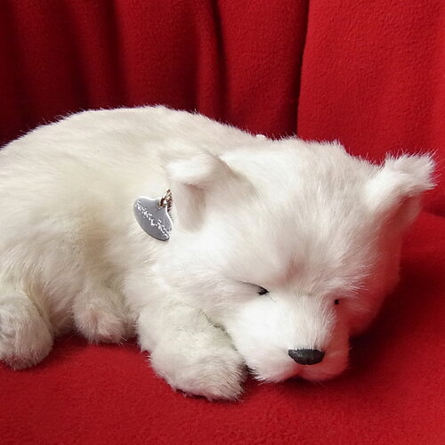 パーフェクトペット 北海道犬 白柴犬 ぬいぐるみ 犬 イヌ いぬ ぬいぐるみ リアル 本物 そっくり ペット 日本代購流行生活代購館 Myjp 日本代購 パーフェクトペット 北海道犬 白柴犬 ぬいぐるみ 犬 イヌ いぬ ぬいぐるみ リアル 本物 そっくり ペット 日本代購流行生活代購館 Myjp 日本代購