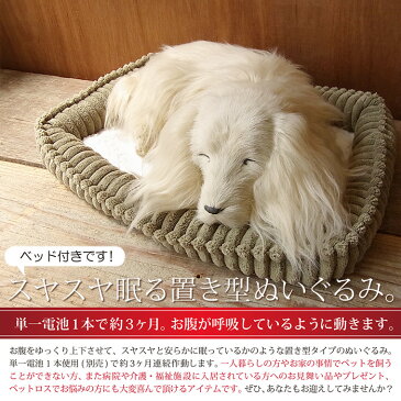 【パーフェクトペット ダックスフンド ロング(イエロー クリーム ゴールド) ぬいぐるみ】本物 そっくり 眠る リアル ペット メモリアル 犬 いぬ イヌ