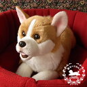 ニニアンドキノ 寝そべりわんこ コーギー ぬいぐるみ 犬 いぬ イヌ リアル 本物 そっくり 動物 アニマル 抱き枕 おもちゃ ペット ペットロス 大きい 小さ...