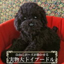 実物大 ポーズが変えられる トイプードル 黒 ブラック ぬいぐるみ 犬 リアル 本物 そっくり トイプー ペット ペットロス 小型犬 動物 いぬのぬいぐるみ 犬のぬいぐるみ かわいいぬいぐるみ 犬雑貨 かわいい 可愛い 癒し 愛犬 ギフト 犬 好き プレゼント