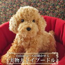 実物大 ポーズが変えられる トイプードル アプリコット レッド ぬいぐるみ 犬 リアル 本物 そっくり トイプー ペット ペットロス 小型犬 動物 いぬのぬいぐるみ 犬のぬいぐるみ かわいいぬいぐるみ 犬雑貨 かわいい 可愛い 癒し 愛犬 ギフト 犬 好き プレゼント