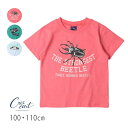 【23%】セール【丸高】 crescent【クレセント】昆虫 プリント 半袖 Tシャツ【人気 子供服 キッズ トップス 半T クワガタ かっこいい 男の子 sa...