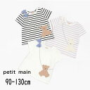 petit mainyveB}Cz炭 |VFbg TVcylC q xr[ LbY gbvX  T n {[_[   { X}CV[Y  킢 ̎qz9642218