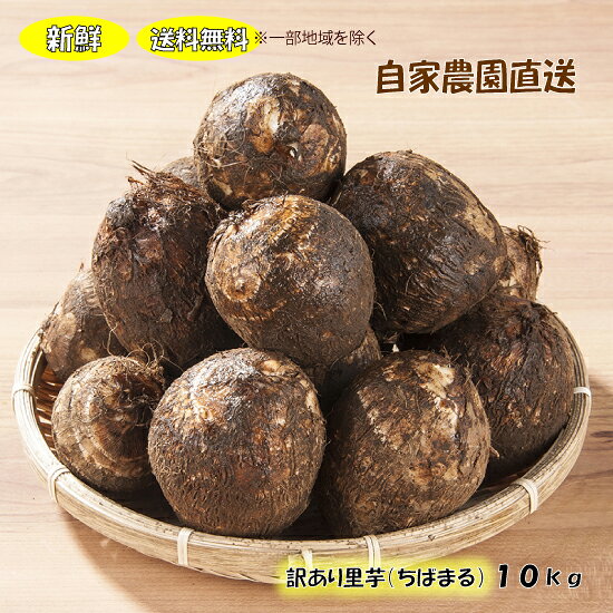 【送料無料※一部地域を除く】新鮮☆自家農園直送☆さといも訳あり（ちばまる）　10kg箱里芋＜訳あり＞のサムネイル