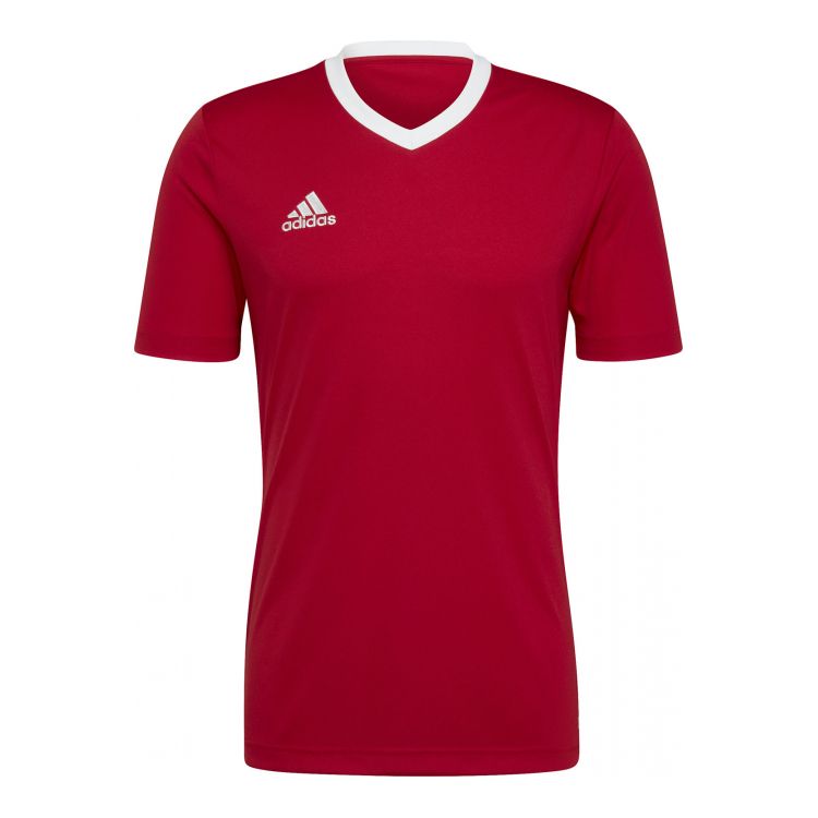 ADIDAS アディダス H61736 ENTRADA22 ジャージー メンズ レディース Tシャツ