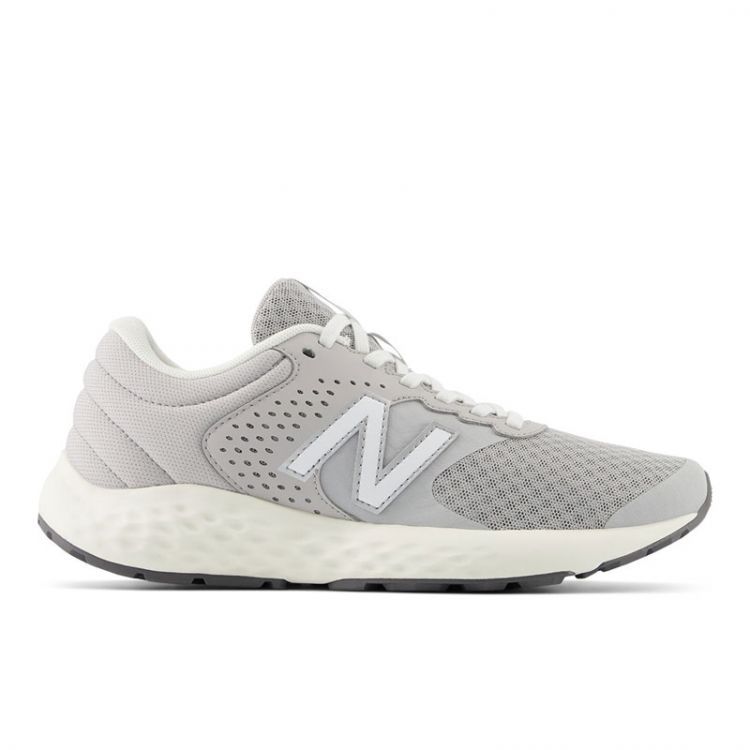 NEWBALANCE ニューバランス WE420GW22E E420 v2 レディース ランニング