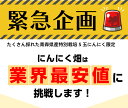 黒にんにく 小玉 特別栽培 特栽 極旨黒ニンニク 1kg（500g×2袋） 青森産 国産 食品 野菜 フルーツ感覚 無添加 無着色 無香料 健康 送料無料 常温便 2