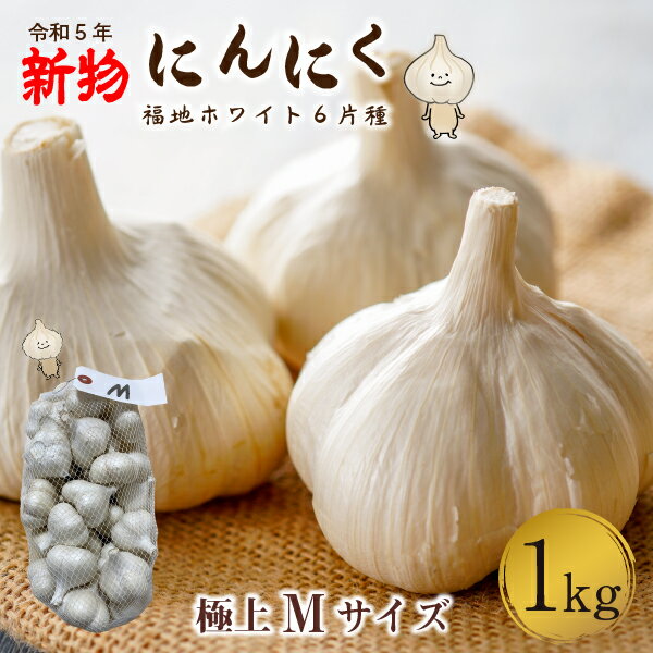 青森 にんにく1kg Mサイズ 約20玉 福地ホワイト6片 国産 ニンニク 新物 送料無料 Y常