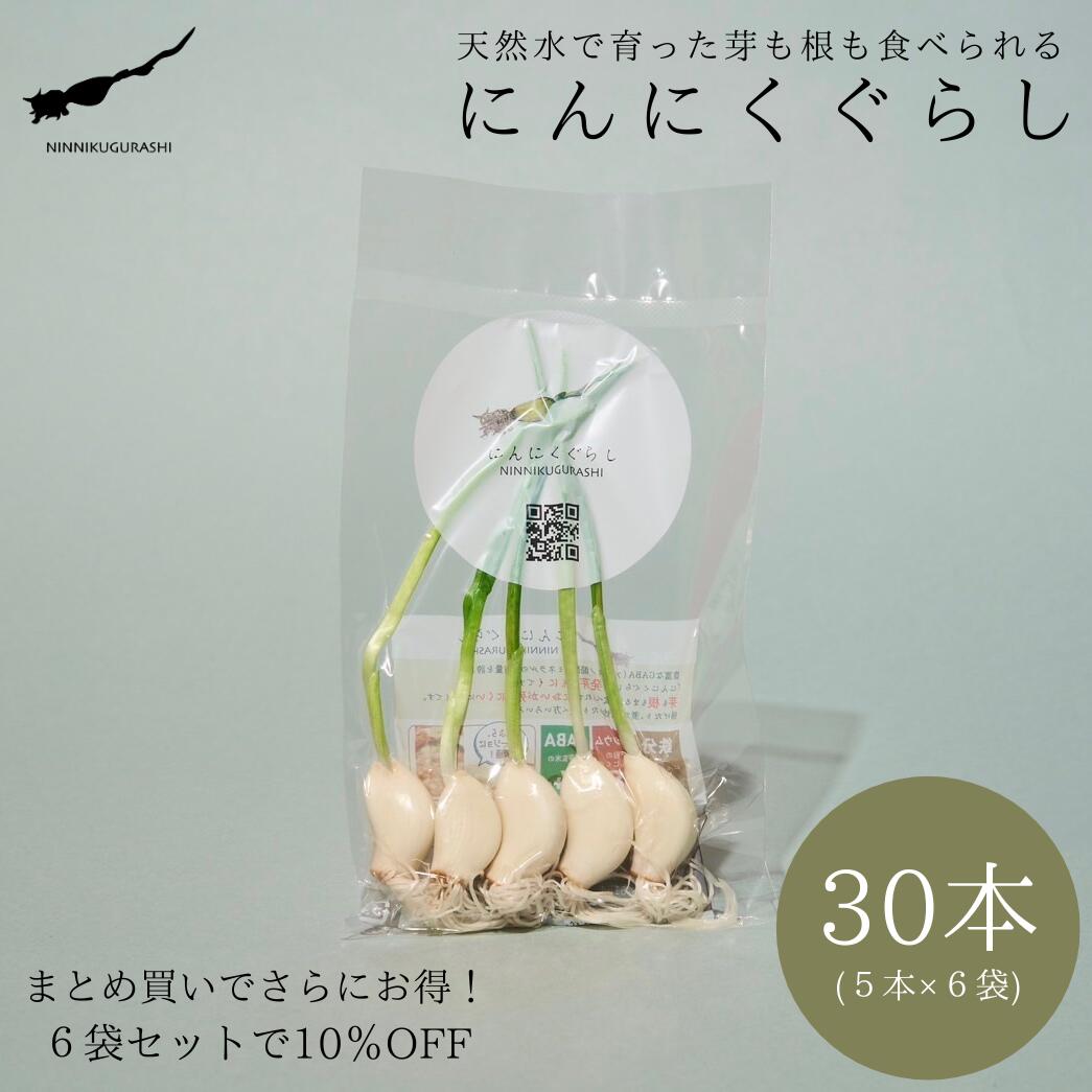 【にんにくぐらし】30本(5本x6袋) 発芽にんにく スプラウトにんにく 水耕 天然水 農薬不使用 丸ごと 栄..
