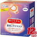 めぐりズム 蒸気でホットアイマスク 無香料 12枚入【×12個セット】花王【ケース販売!】