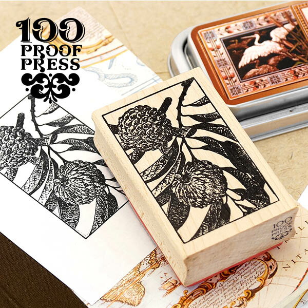 ラバースタンプ 100プルーフプレス 100 Proof Press #5338 アーティチョーク Artichoke Rectangle はん..