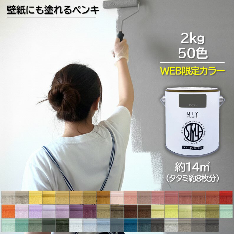 �ڸ������ȥ��ۥڥ� �������� DIY STYLE DIY�ڥ󥭡ʴ̥����ס˼������� 2kg ��50���ñ�ä��ޥåȥ��顼�˥åڥۡ���ץ������� | �����ڥ�...