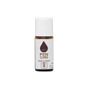 ペンキ 水性 塗料 ニッペ ハケ付き 塗装用具不要 水性塗料 | ペンキュア HAKE de PAINT カラーニス 50ml
