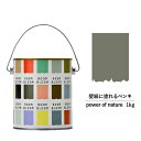 ペンキ 水性塗料 DIY ROOMBLOOM Matte powerofnature 1kg 茶 ブラウン 日本ペイント 塗装 塗料 水性ペンキ 水性塗料 ローラー ハケ 室内壁 壁紙 室内用ペイント 壁塗料 屋内 茶色塗料 缶塗装 ニッペ 模様替え