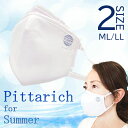 Pittarich for Summer /ピッタリッチ　フォー　サマー　マスク　再利用可能タイプ　1個　交換フィルター100枚入り 2