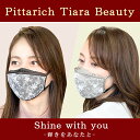 Pittarich Tiara Beauty /ピッタリッチ ティアラ ビューティー マスク 再利用可能タイプ 交換フィルター100枚入り