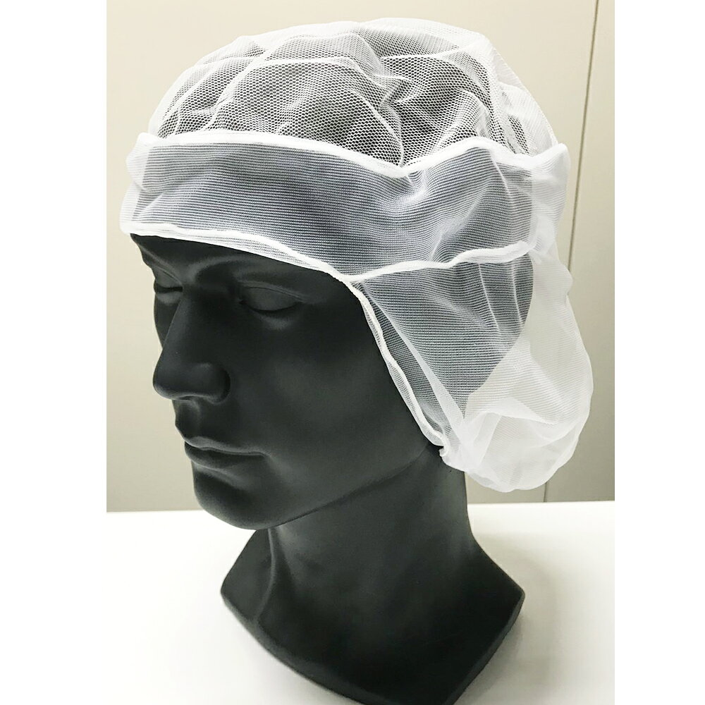 ヘアーメッシュ　10枚入り