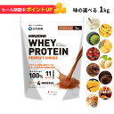 プロテイン ホエイプロテイン ウィンゾーン パーフェクトチョイス 1kg 日本新薬 WPC タンパク質 BCAA EAA ビタミン ミネラル 選べる風味 WINZONE シェイカーありなし 男性 女性 男女兼用