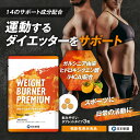 nippon-shinyaku-shop:10000177のサンプル画像2