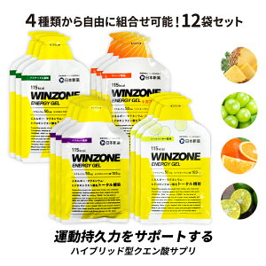 WINZONE ENERGY GEL（ウィンゾーン エナジージェル）3種類から自由に組合せ可能！ 12袋セット 日本新薬 マラソン サプリ エナジージェル