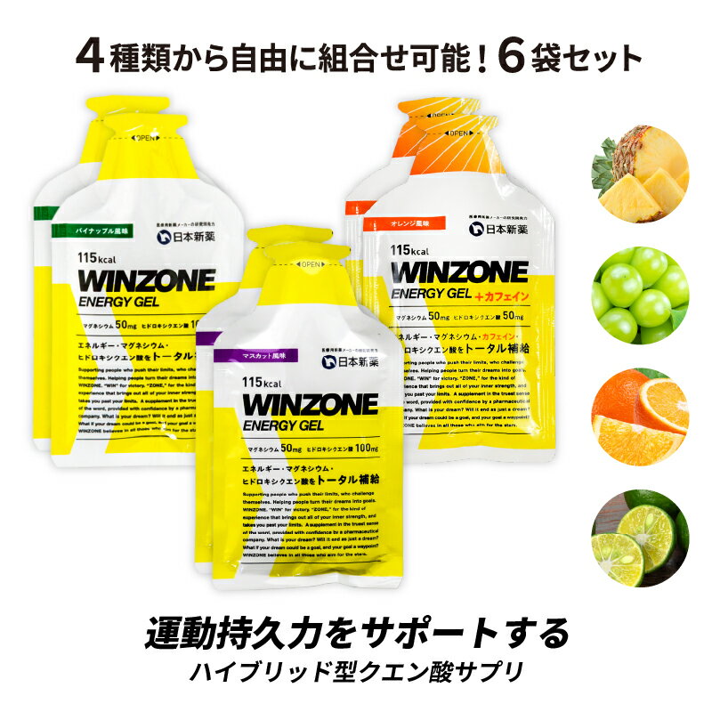 WINZONE ENERGY GEL（ウィンゾーン エナジージェル）3種類から自由に組合せ可能！ 6袋セット 日本新薬 マラソン サプリ エナジージェル