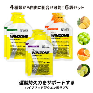 WINZONE ENERGY GEL（ウィンゾーン エナジージェル）3種類から自由に組合せ可能！ 6袋セット 日本新薬 マラソン サプリ エナジージェル