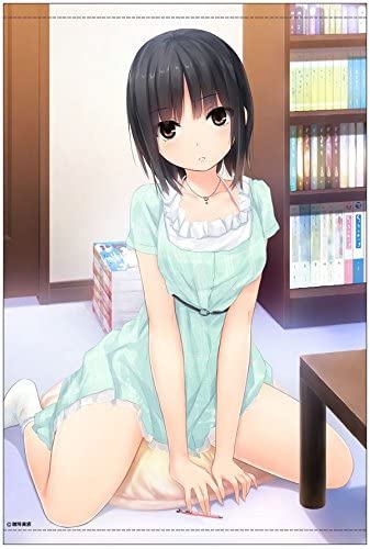 珈琲貴族 B2タペストリー カテキョ青山