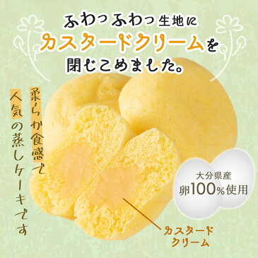 大分県湯布院 お土産 おいしい お取り寄せ グルメ ギフト どんど焼本舗 湯の花たまごケーキ(大) 20個入