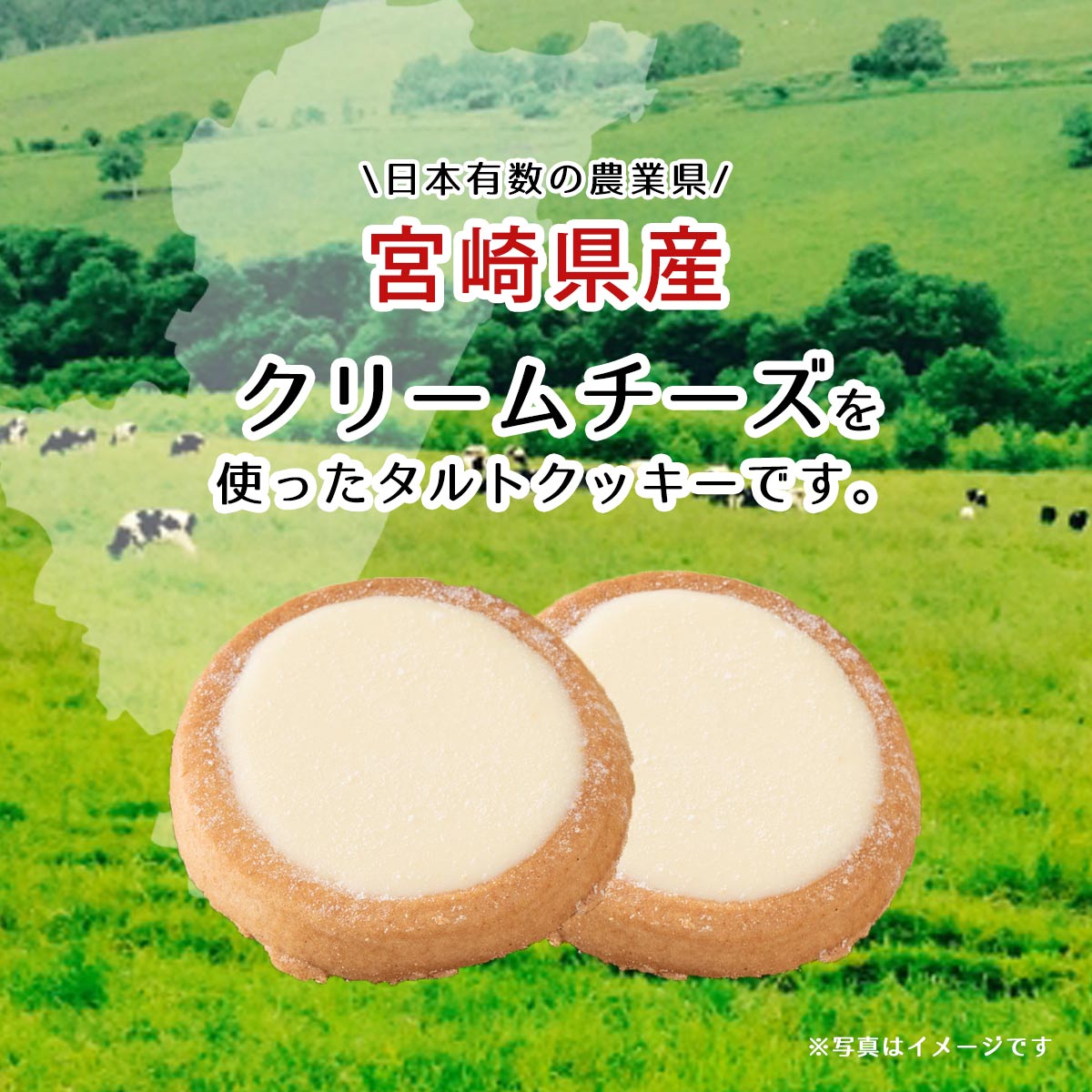 商品イメージ2