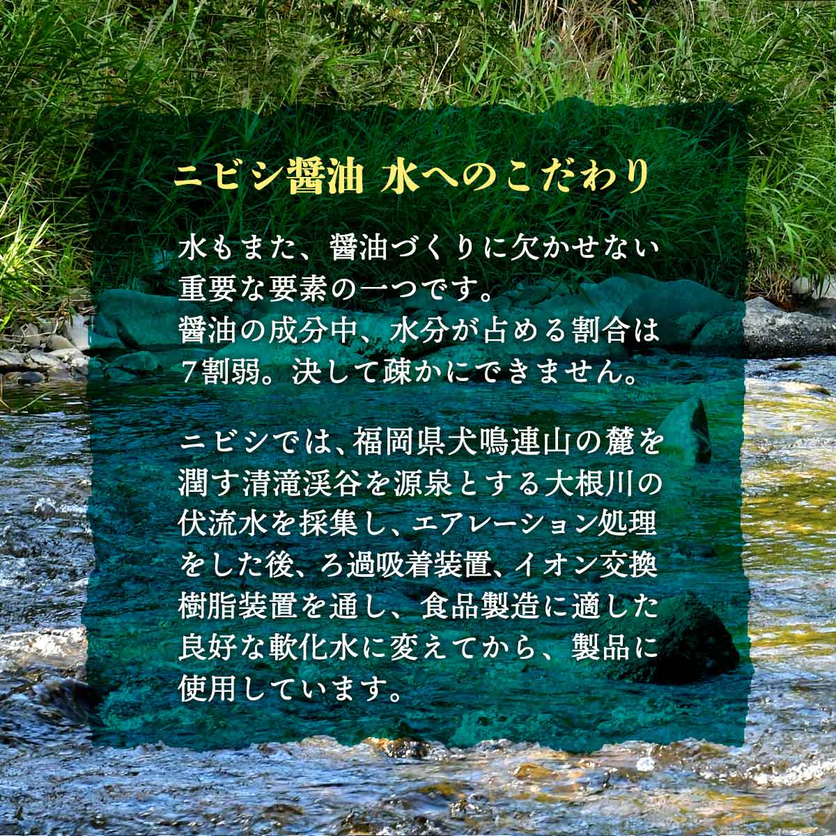 九州 福岡 醤油 調味料 老舗 ニビシ 古賀 つゆ たれ ソース ニビシ醤油 中華春雨の素 300ml×2 3