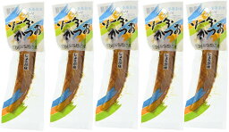 [竹内商店] 鰹節 ソーダがつお しょうが味 生節 40g×5袋セット /かつおぶし 鰹節 高知 竹内商店 鰹 結納