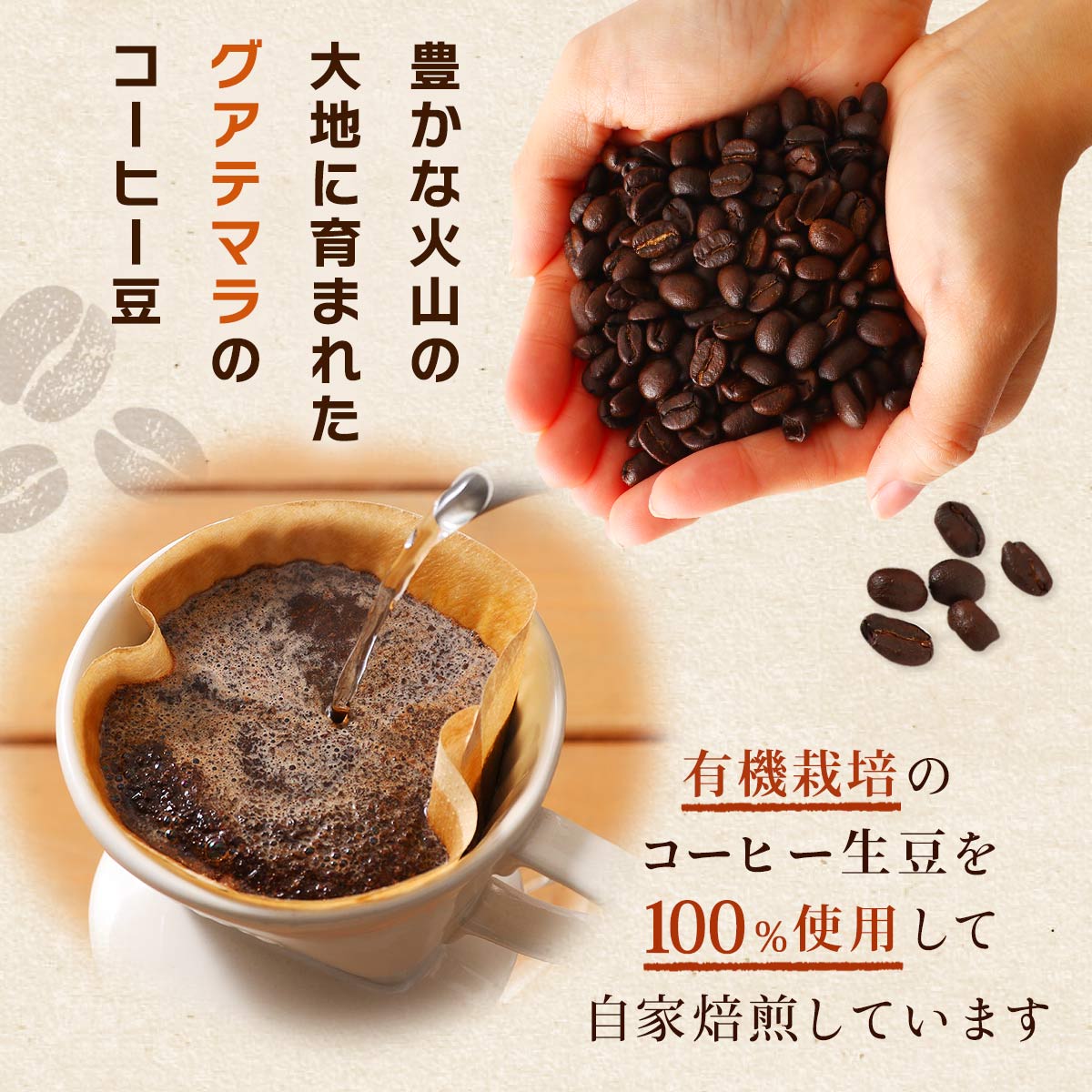 [星あかり] コーヒー オーガニックコーヒー グアテマラ産 豆 100g /グアテマラ産 コーヒー 珈琲 オーガニック 有機栽培 minecoffee マインコーヒー 自家焙煎 コク 酸味 おうちカフェ リラックス チャック付き nipponmarche-10049585 にじデパート楽天市場店 サンプル画像2