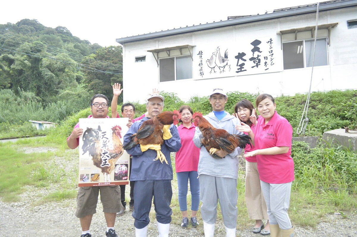 【楽天スーパーセール 10%オフ】 [明成] 鍋 天草大王 鍋セット 3~4人前 /ギフト/鍋/セット/つみれ/天草大王/一品 nipponmarche-10015206 にじデパート楽天市場店 サンプル画像3